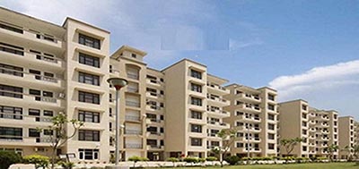 Acme Heights – 1